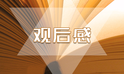 2020精選《國家監(jiān)察》第五集《打造鐵軍》心得體會(huì)范文5篇