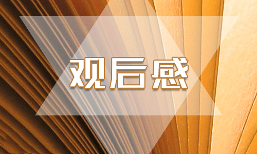 《國家監(jiān)察》第四集觀后心得體會(huì)10篇_《護(hù)航民生》心得感想